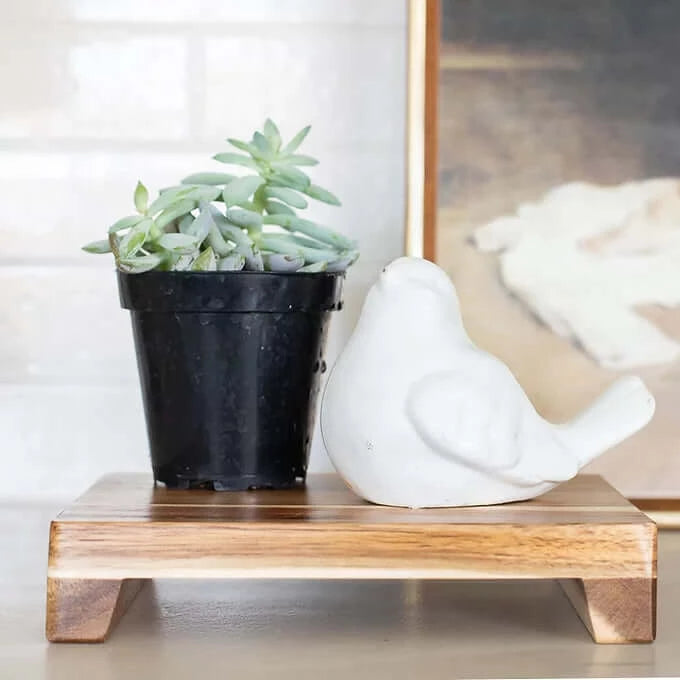 Rectangle wood pedestal with plant